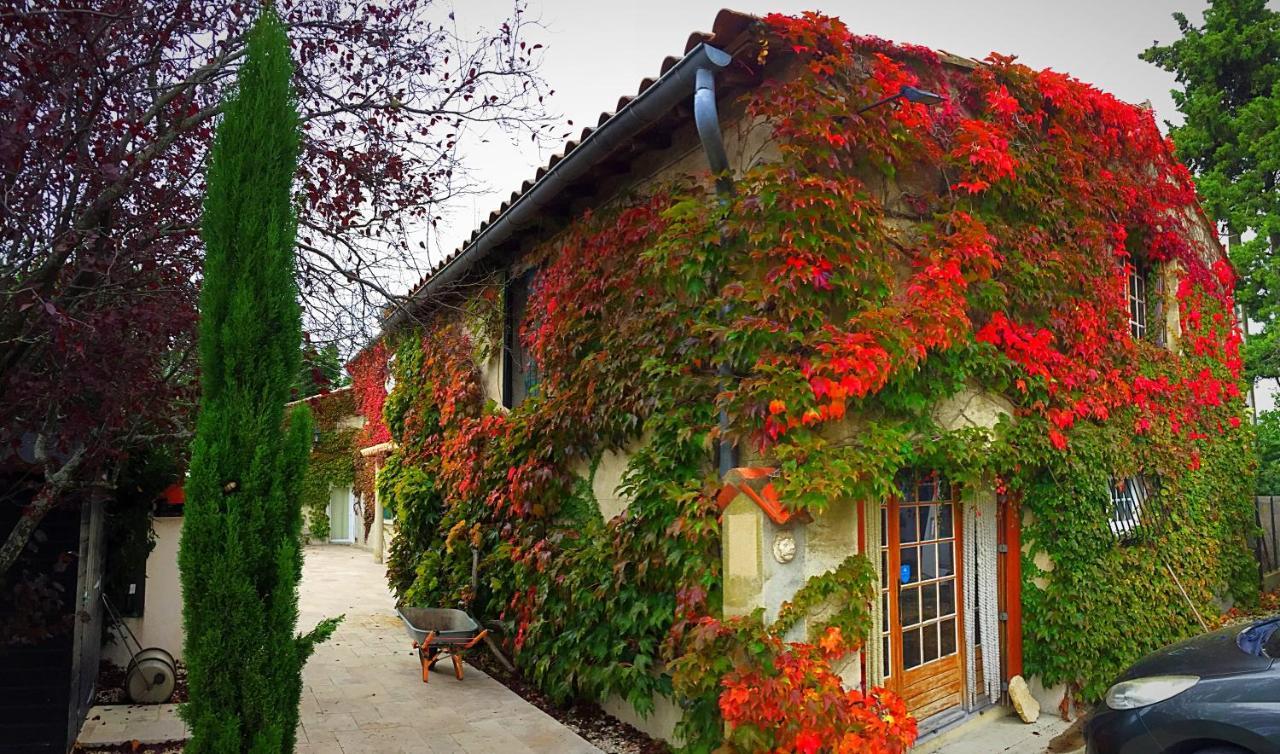 Le Mas Des Abeilles - Chambres D'Hotes En Drome Provencale La Begude-de-Mazenc Luaran gambar